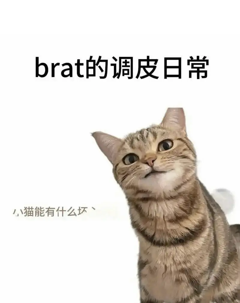 西檬之家-PE是什么意思？BDSM权力交换的权威指南