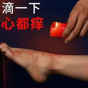 西檬之家-字母圈K8猫系新人指南：读懂傲娇属性与SSC原则