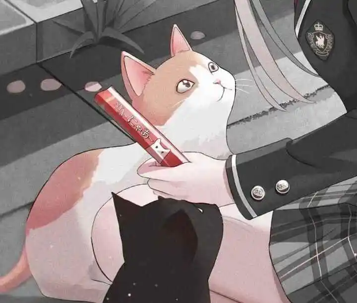 西檬之家-初识K8猫系：BDSM文化中独特的角色扮演游戏
