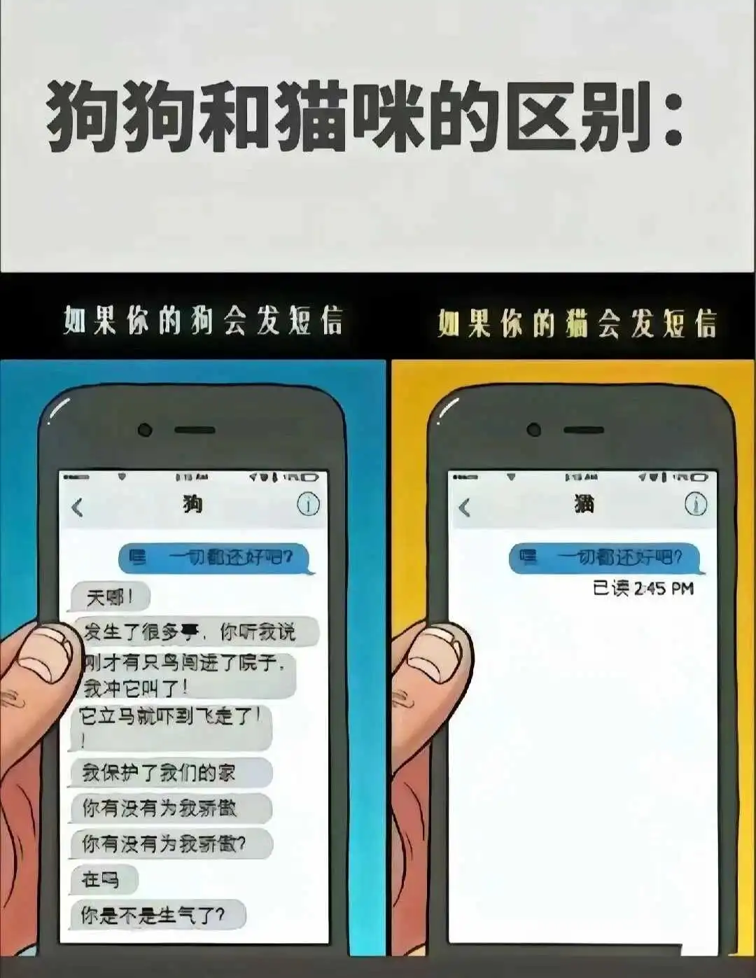西檬之家-字母圈的Brat属性是什么意思？