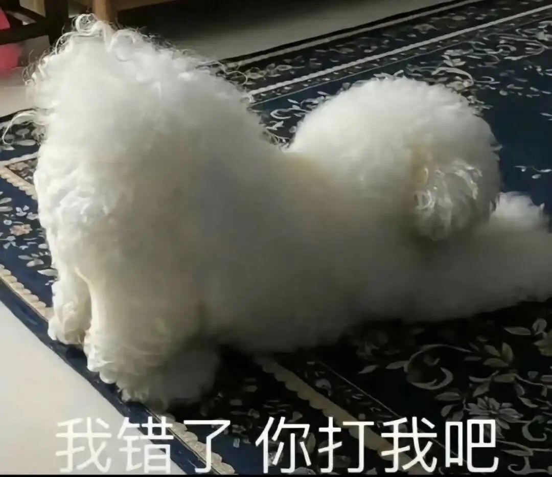 西檬之家-TK是什么意思？字母圈新人入门指南