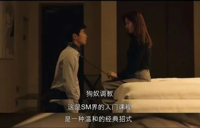 【西檬之家】BDSM圈新人如何正确入圈？解读核心术语与安全原则