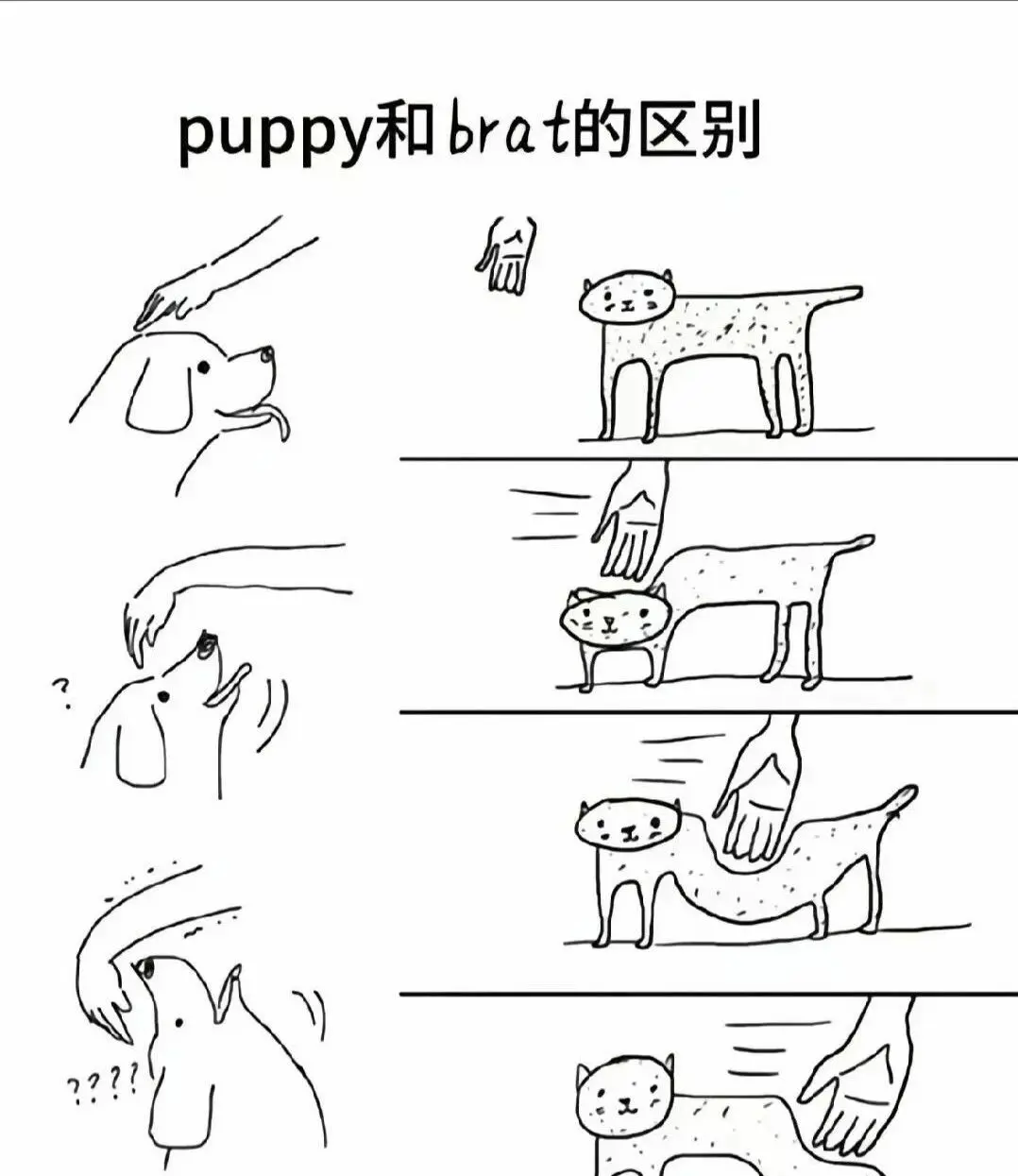 【西檬之家】DS关系入门：从术语到安全原则的权威指南