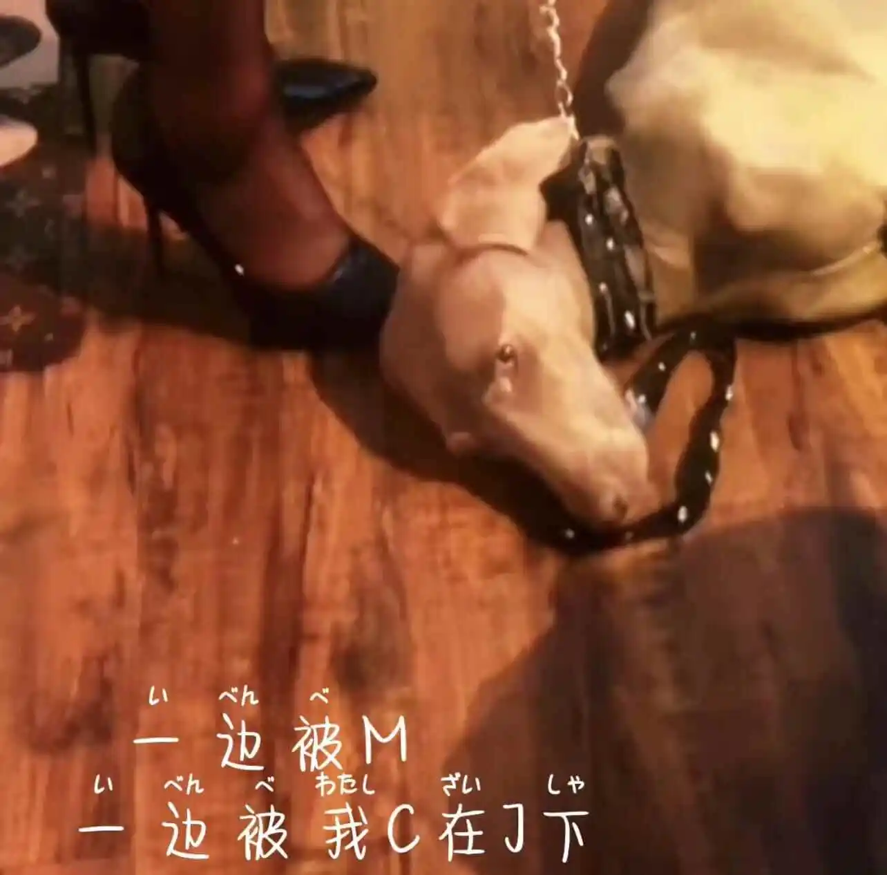 【西檬之家】字母圈TK玩法解析：从Tickle到安全互动的新人指南