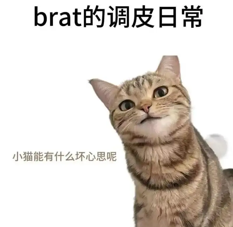 【西檬之家】-新人都需掌握！BDSM入门指南为你详解