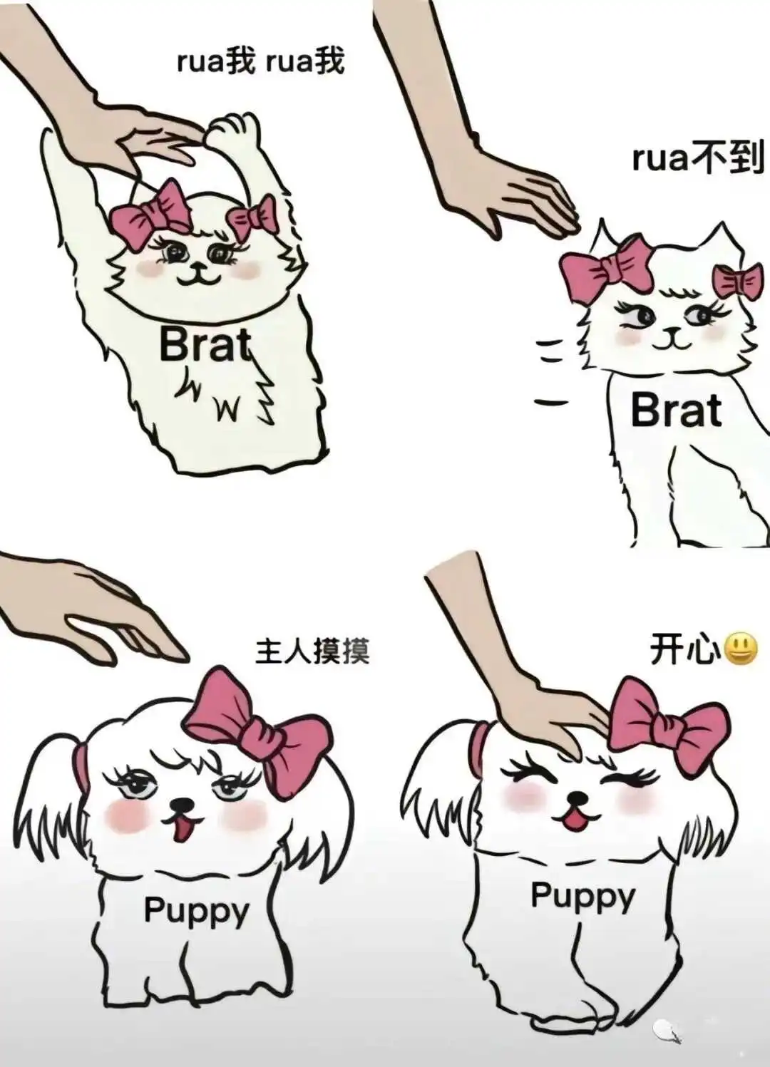 Spank：实用指南